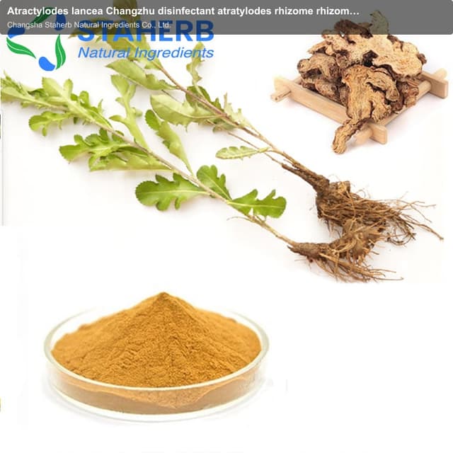 Atractylodes lancea Changzhu disinfectant atratylodes rhizome rhizoma atractylodis extract