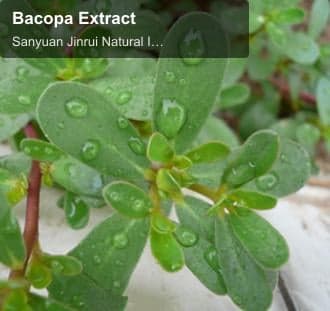 Bacopa Extract
