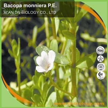 Bacopa monniera P.E.
