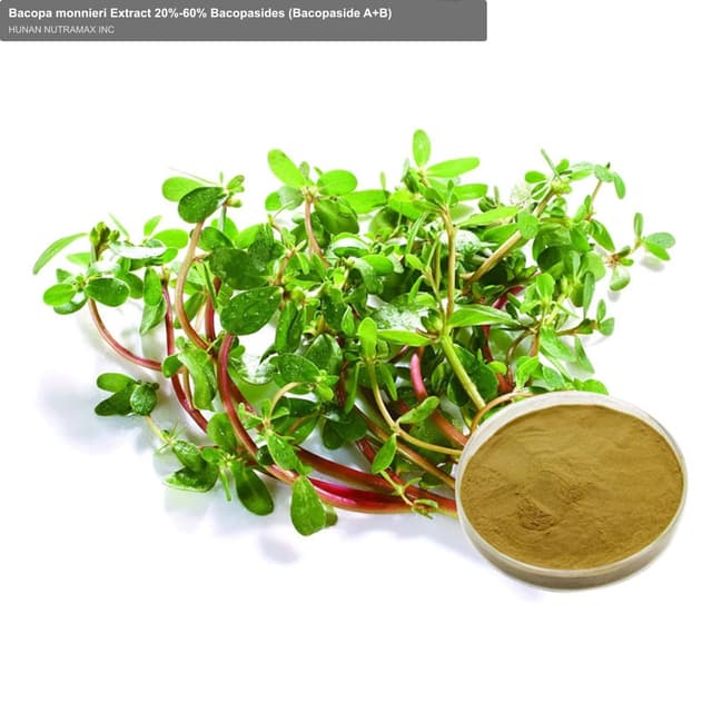 Bacopa monnieri Extract 20%-60% Bacopasides (Bacopaside A+B)