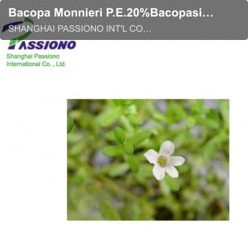 Bacopa Monnieri P.E.20%Bacopaside