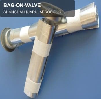 BAG-ON-VALVE