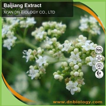 Baijiang Extract