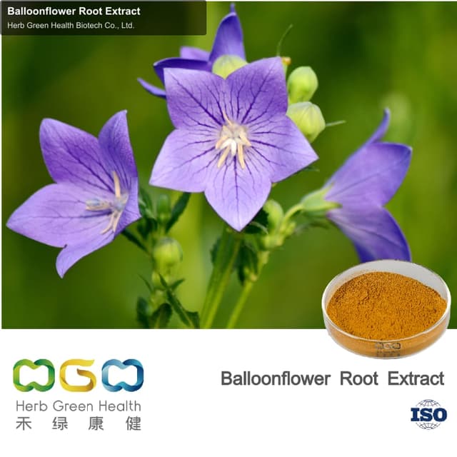 Balloonflower Root Extract