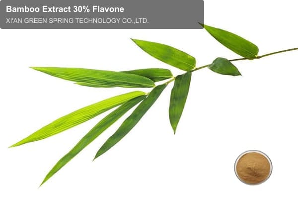 Bamboo Extract 30% Flavone