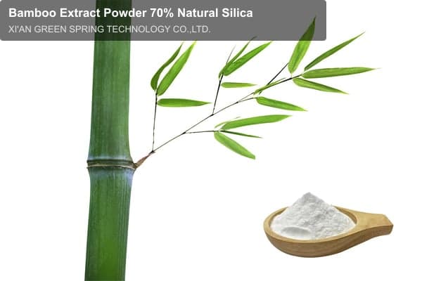 Bamboo Extract Powder 70% Natural Silica