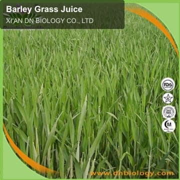 Barley Grass Juice