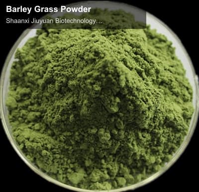 Barley Grass Powder