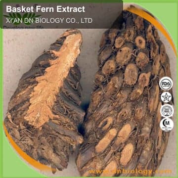 Basket Fern Extract