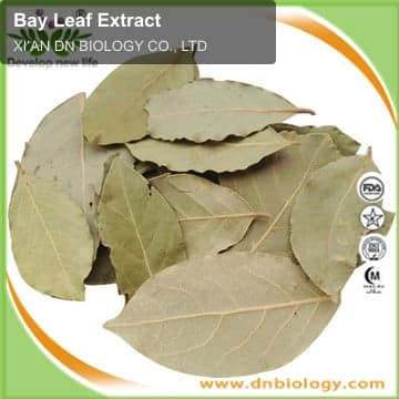 Bay Leaf Extract