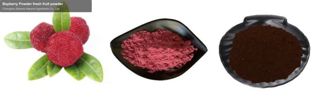Bayberry Powder fresh fruit powder