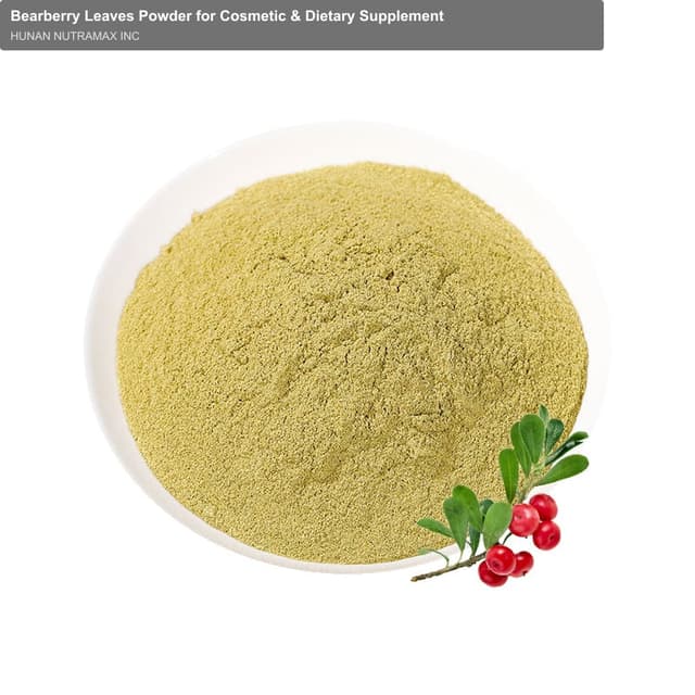 Bearberry Leaves Powder for Cosmetic & Dietary Supplement