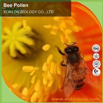 Bee Pollen