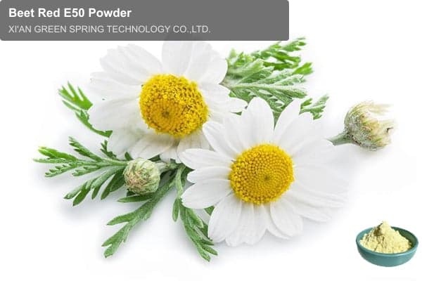 Beet Red E50 Powder
