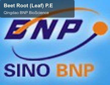 Beet Root (Leaf) P.E