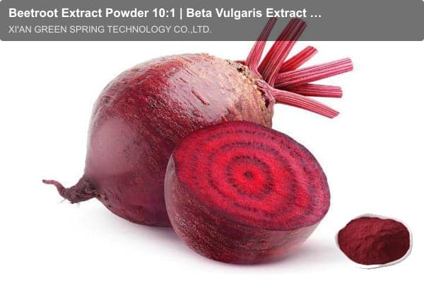 Beetroot Extract Powder 10:1 | Beta Vulgaris Extract | Green Spring Technology