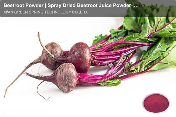 Beetroot Powder | Spray Dried Beetroot Juice Powder | Green Spring Technology