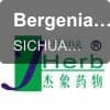 Bergenia Extract