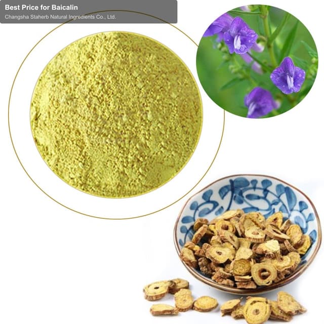 Best Price for Baicalin