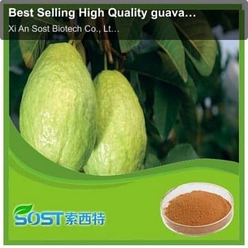 Best Selling High Quality guava juice