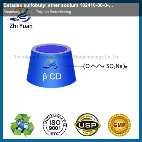 Betadex sulfobutyl ether sodium 182410-00-0-zhiyuan