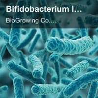 Bifidobacterium longum subsp. Longum BL-G301