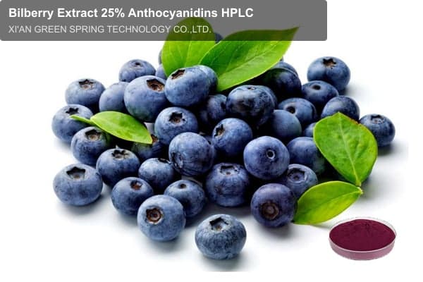Bilberry Extract 25% Anthocyanidins HPLC