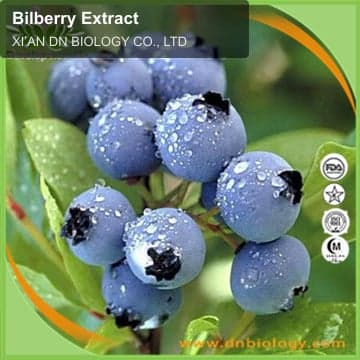 Bilberry Extract