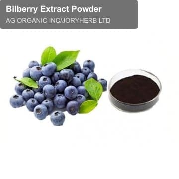 Bilberry Extract Powder