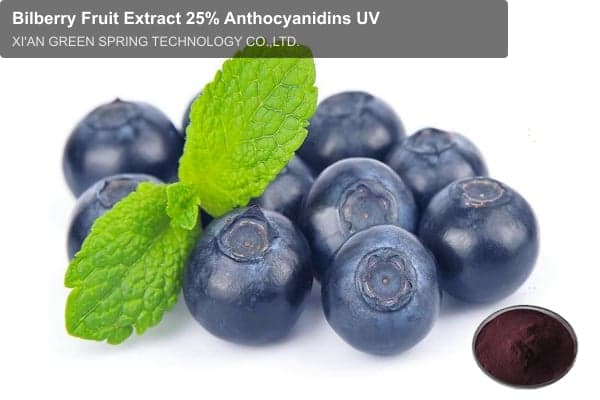 Bilberry Fruit Extract 25% Anthocyanidins UV