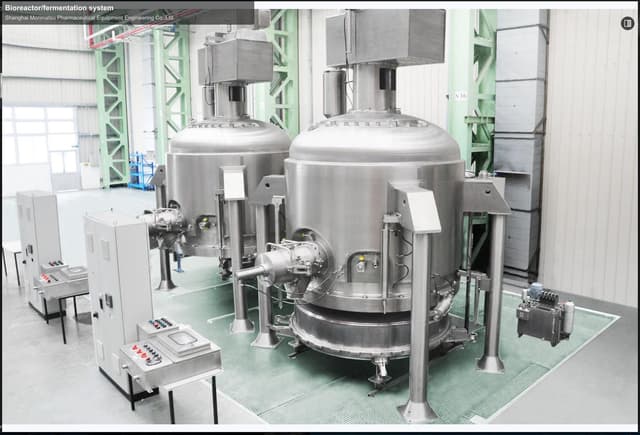 Bioreactor/fermentation system
