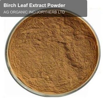 Birch Leaf Extract Powder