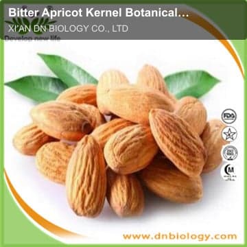 Bitter Apricot Kernel Botanical Extract