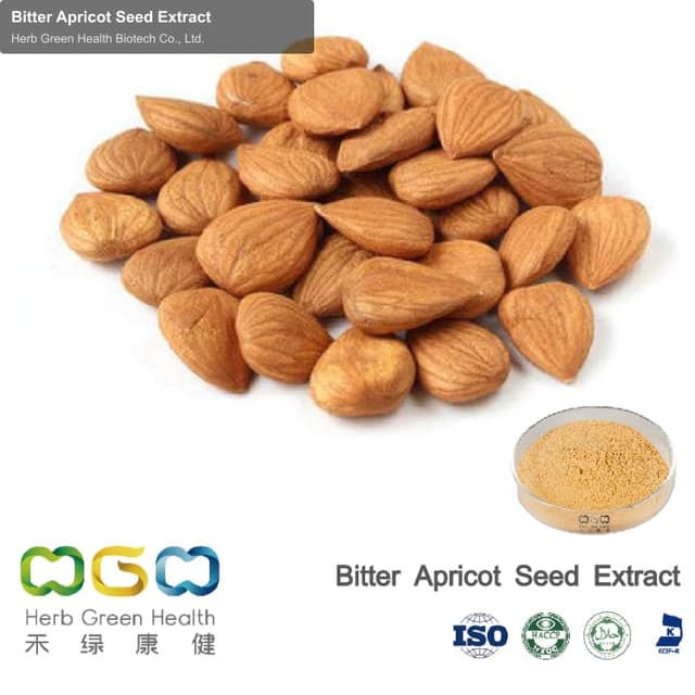 Bitter Apricot Seed Extract