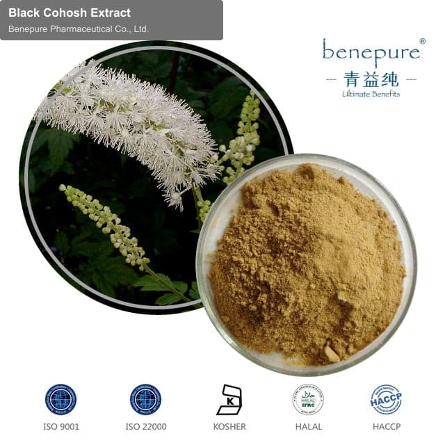 Black Cohosh Extract