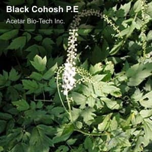 Black Cohosh P.E
