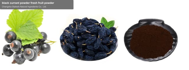 black currant powder fresh fruit powder