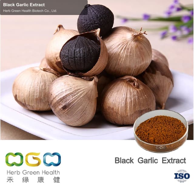 Black Garlic Extract