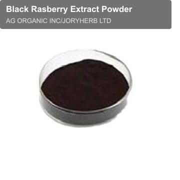 Black Rasberry Extract Powder