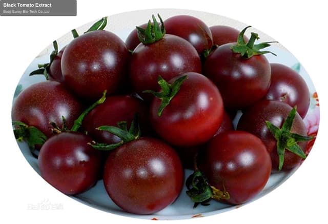 Black Tomato Extract