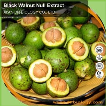 Black Walnut Null Extract