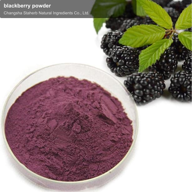 blackberry powder