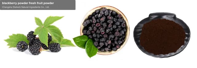 blackberry powder fresh fruit powder