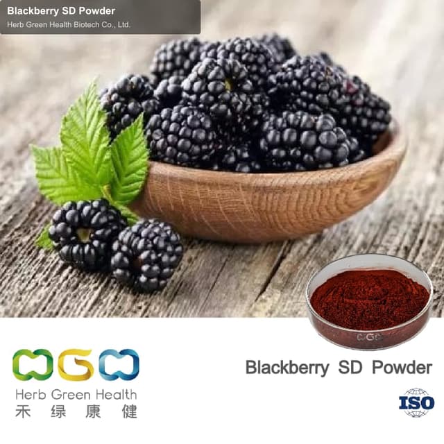 Blackberry SD Powder