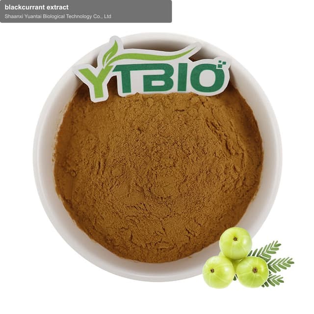 blackcurrant extract