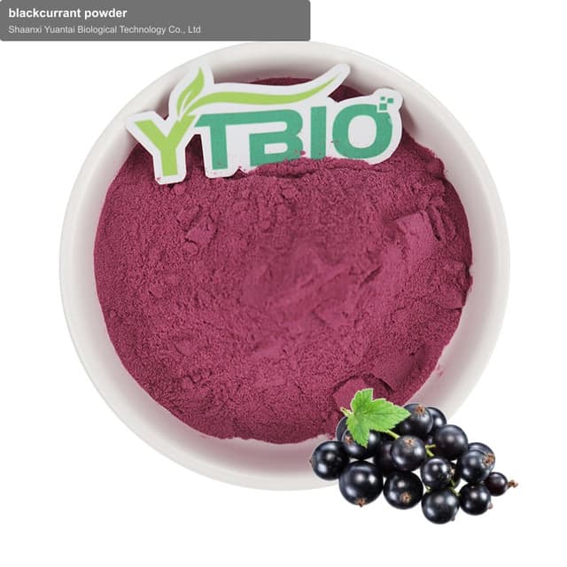 blackcurrant powder