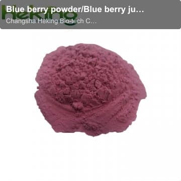 Blue berry powder/Blue berry juice powder/blue berry extract
