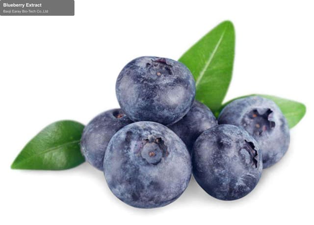 Blueberry Extract