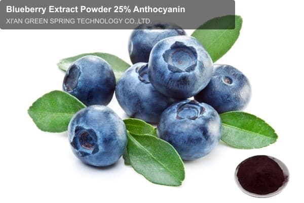 Blueberry Extract Powder 25% Anthocyanin