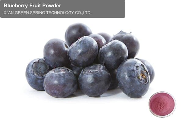 Blueberry Fruit Powder
